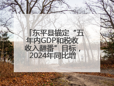 东平县锚定“五年内GDP和税收收入翻番”目标，2024年同比增长5.8%