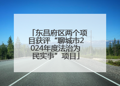东昌府区两个项目获评“聊城市2024年度法治为民实事”项目
