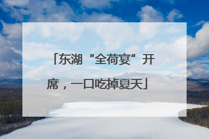 东湖“全荷宴”开席，一口吃掉夏天