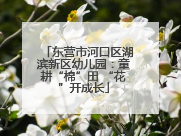 东营市河口区湖滨新区幼儿园：童耕“棉”田 “花”开成长