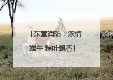 东营消防：浓情端午 粽叶飘香