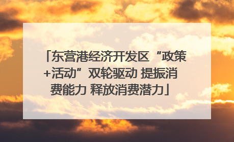 东营港经济开发区“政策+活动”双轮驱动 提振消费能力 释放消费潜力