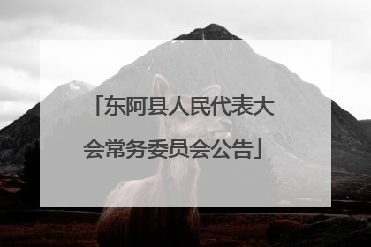 东阿县人民代表大会常务委员会公告