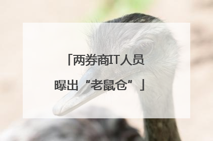 两券商IT人员曝出“老鼠仓”