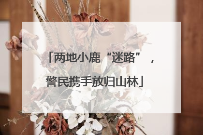 两地小鹿“迷路”，警民携手放归山林