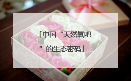 中国“天然氧吧”的生态密码