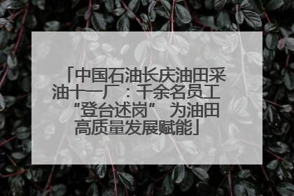 中国石油长庆油田采油十一厂：千余名员工“登台述岗” 为油田高质量发展赋能