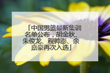 中国男篮最新集训名单公布，胡金秋、朱俊龙、程帅澎、余嘉豪再次入选