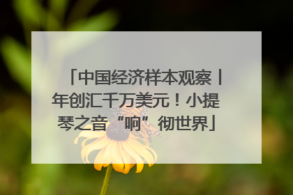 中国经济样本观察丨年创汇千万美元！小提琴之音“响”彻世界