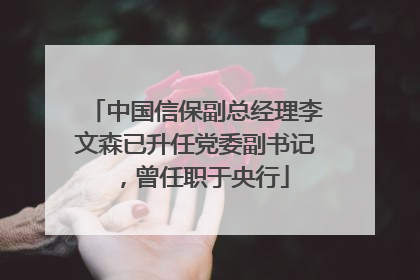 中国信保副总经理李文森已升任党委副书记，曾任职于央行