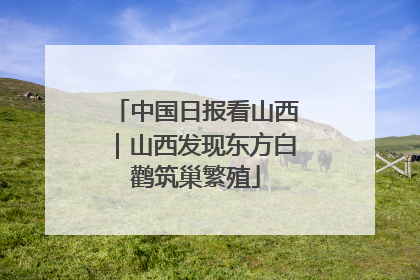 中国日报看山西｜山西发现东方白鹳筑巢繁殖