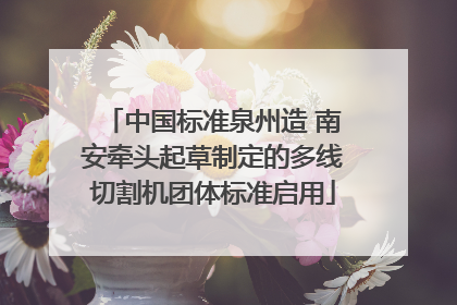 中国标准泉州造 南安牵头起草制定的多线切割机团体标准启用