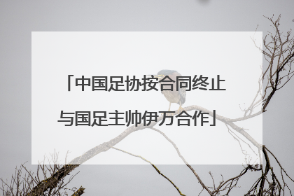 中国足协按合同终止与国足主帅伊万合作
