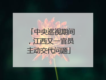 中央巡视期间，江西又一官员主动交代问题