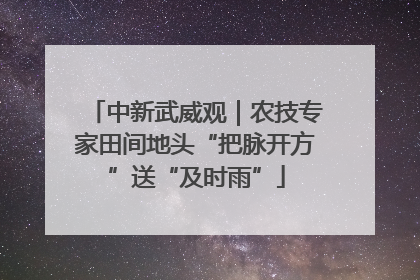 中新武威观｜农技专家田间地头“把脉开方”送“及时雨”