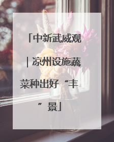 中新武威观｜凉州设施蔬菜种出好“丰”景