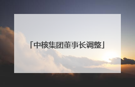 中核集团董事长调整