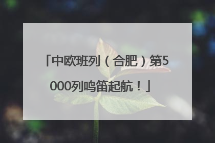 中欧班列（合肥）第5000列鸣笛起航！