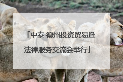 中泰·德州投资贸易暨法律服务交流会举行