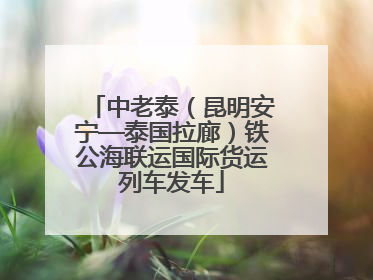 中老泰（昆明安宁—泰国拉廊）铁公海联运国际货运列车发车