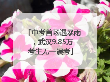 中考首场遇暴雨，武汉9.85万考生无一误考