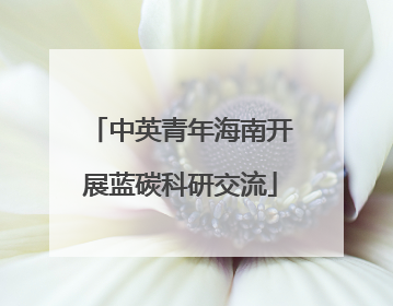 中英青年海南开展蓝碳科研交流