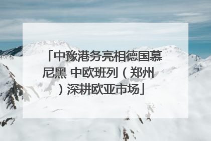 中豫港务亮相德国慕尼黑 中欧班列（郑州）深耕欧亚市场
