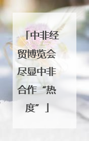 中非经贸博览会尽显中非合作“热度”