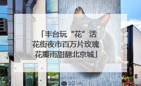 丰台玩“花”活 花街夜市百万片玫瑰花瓣雨甜翻北京城