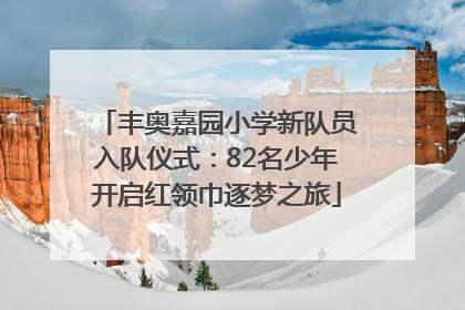 丰奥嘉园小学新队员入队仪式：82名少年开启红领巾逐梦之旅
