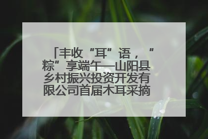 丰收“耳”语，“粽”享端午—山阳县乡村振兴投资开发有限公司首届木耳采摘活动盛大启幕