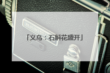 义乌：石斛花盛开