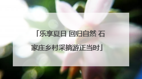 乐享夏日 回归自然 石家庄乡村采摘游正当时