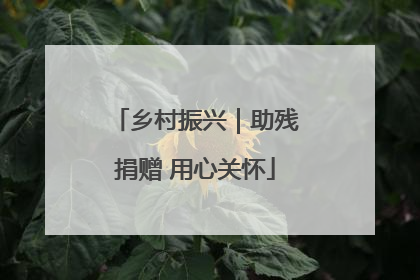 乡村振兴｜助残捐赠 用心关怀