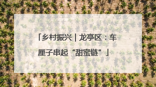 乡村振兴｜龙亭区：车厘子串起“甜蜜链”