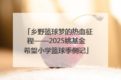 乡野篮球梦的热血征程——2025姚基金希望小学篮球季侧记