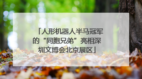 人形机器人半马冠军的“同胞兄弟”亮相深圳文博会北京展区