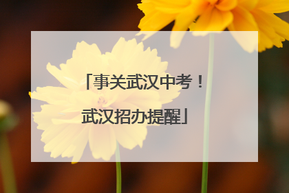 事关武汉中考！武汉招办提醒