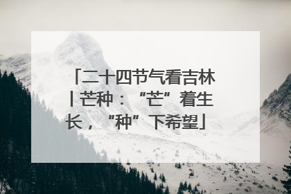 二十四节气看吉林丨芒种：“芒”着生长，“种”下希望