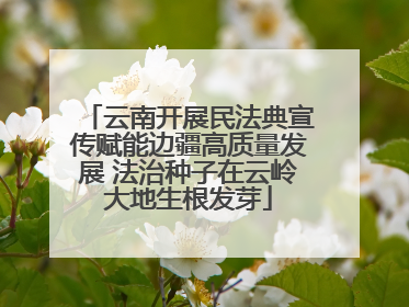 云南开展民法典宣传赋能边疆高质量发展 法治种子在云岭大地生根发芽