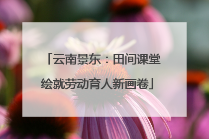 云南景东：田间课堂绘就劳动育人新画卷