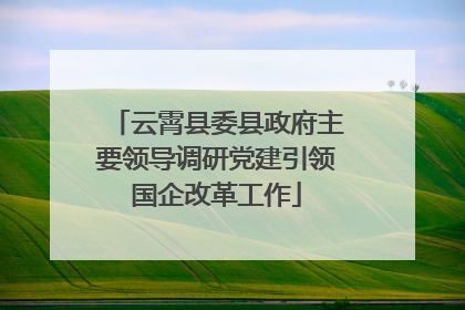 云霄县委县政府主要领导调研党建引领国企改革工作