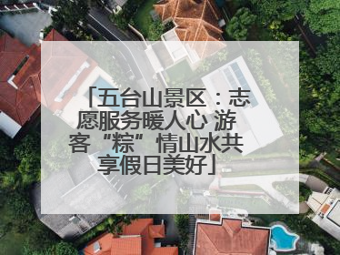 五台山景区：志愿服务暖人心 游客“粽”情山水共享假日美好