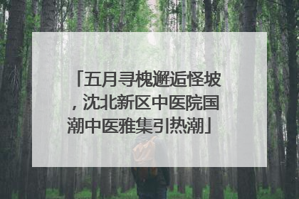 五月寻槐邂逅怪坡，沈北新区中医院国潮中医雅集引热潮