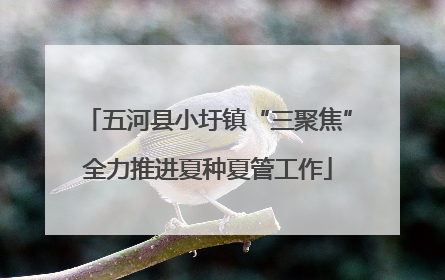五河县小圩镇“三聚焦”全力推进夏种夏管工作