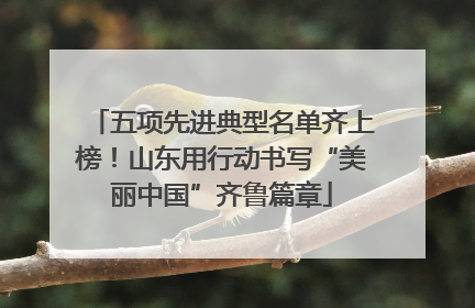 五项先进典型名单齐上榜！山东用行动书写“美丽中国”齐鲁篇章