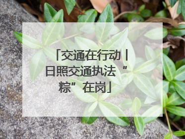 交通在行动丨日照交通执法“粽”在岗