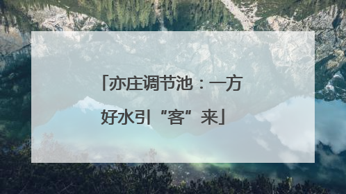 亦庄调节池：一方好水引“客”来