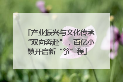 产业振兴与文化传承“双向奔赴”，百亿小镇开启新“筝”程
