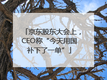 京东股东大会上，CEO称“今天用国补下了一单”